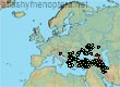 Bombus (Thoracobombus) zonatus (1143 specimens)