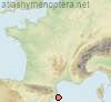 Ectemnius palamosi