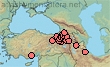 Bombus erzurumensis