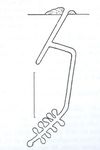 Halictus confusus perkinsi Blüthgen 1926