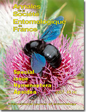 Monograph Nomioidinae