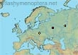 Melitta (Cilissa) udmurtica (19 specimens)