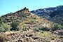 oued temporaire où se développe <i>Polygonum equisetiforme</i> non loin de Tafraoute, Anti-Atlas sud...